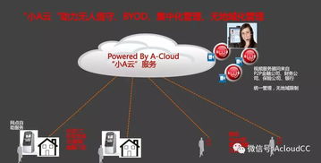 科技助力汽車金融釋放云之魅力 人工智能公共服務技術咨詢服務